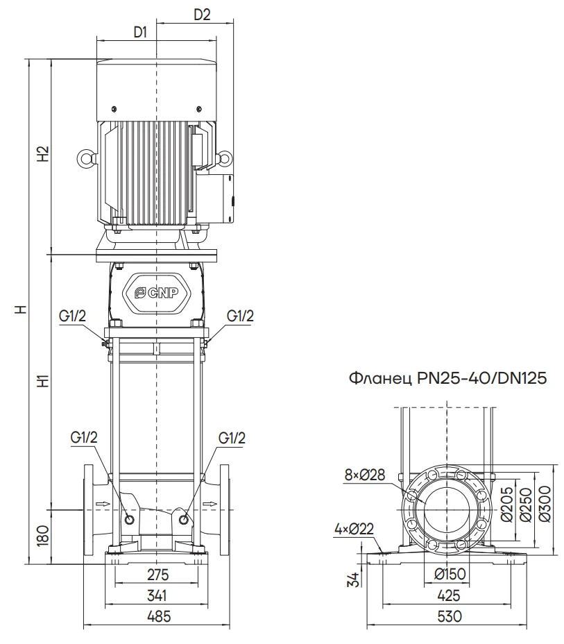 Фланцы насосов CNP CDM 125-9