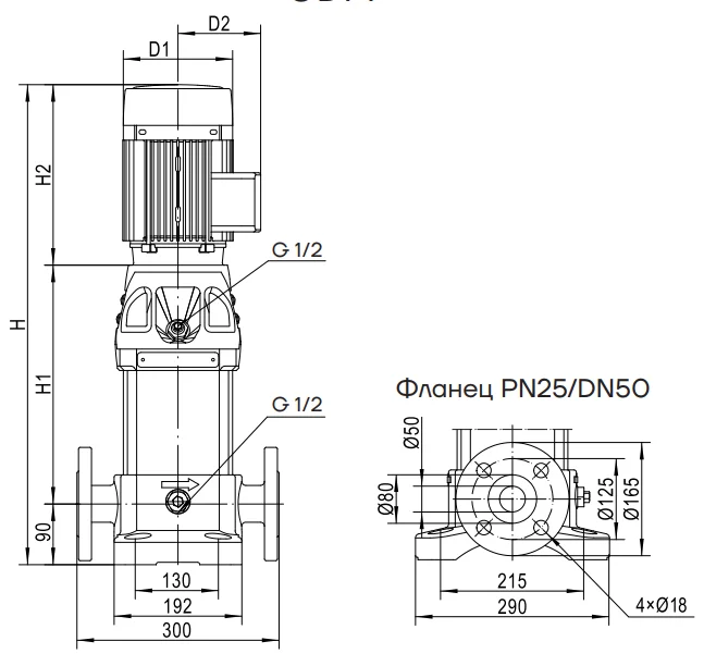 Фланцы насосов CNP CDM 20-1