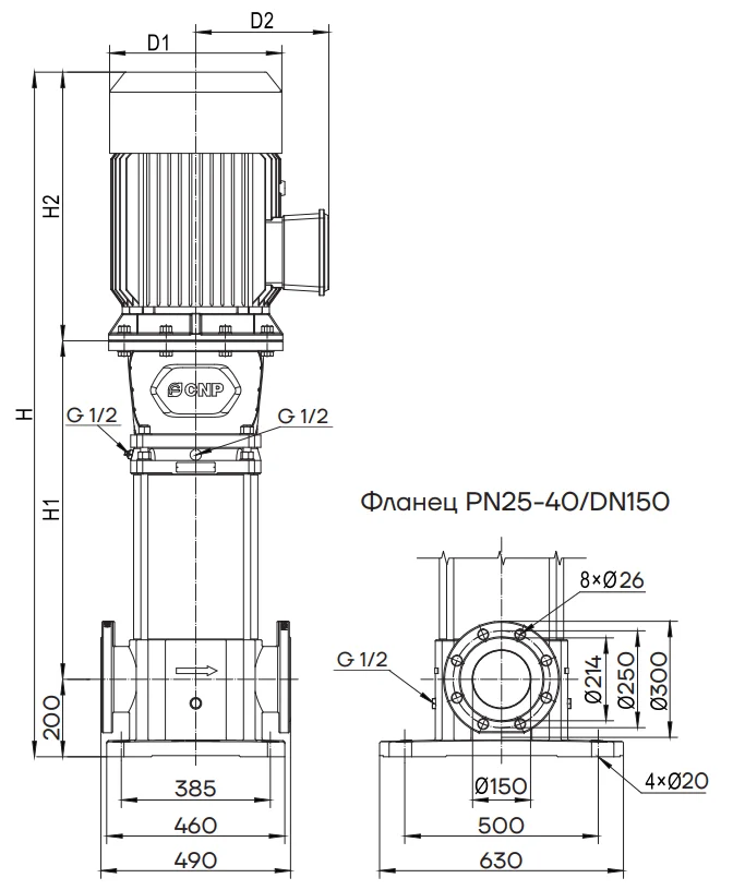 Фланцы насосов CNP CDM 200-3